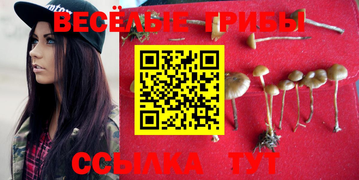 купить наркотики цена  Галлюциногенные грибы Magic Shrooms  Вход с VPN  Галлюциногенные грибы Psilocybe  Новошахтинск 