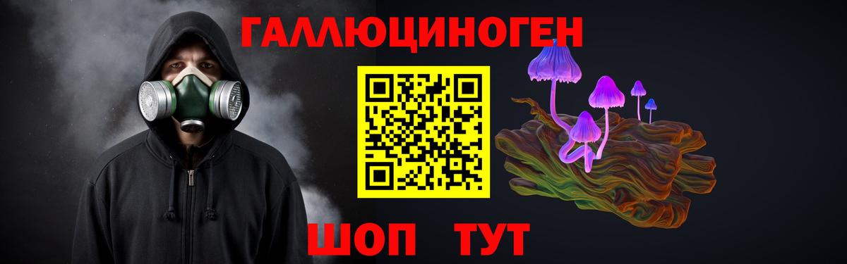 Галлюциногенные грибы Cubensis Новошахтинск